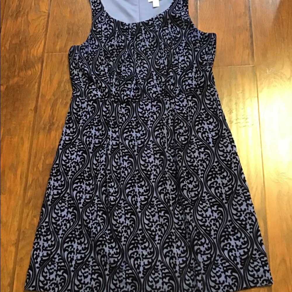 💙 🖤 Loft Dress 🖤 💙 - Picture 2 of 7